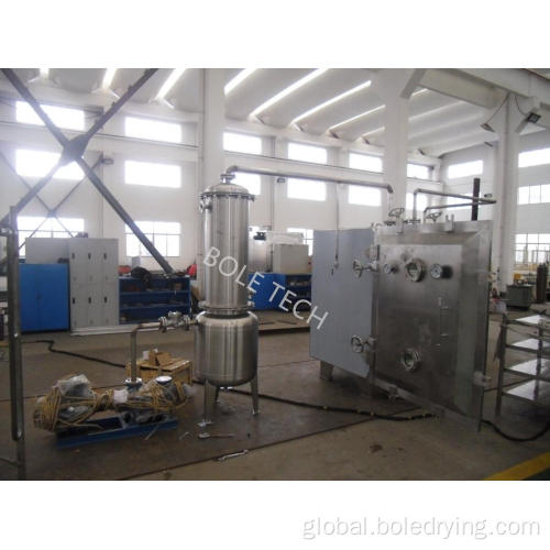 Vegetable Vacuum Dryer Fruit vacuum tray dryer Vacuum drying machine Supplier